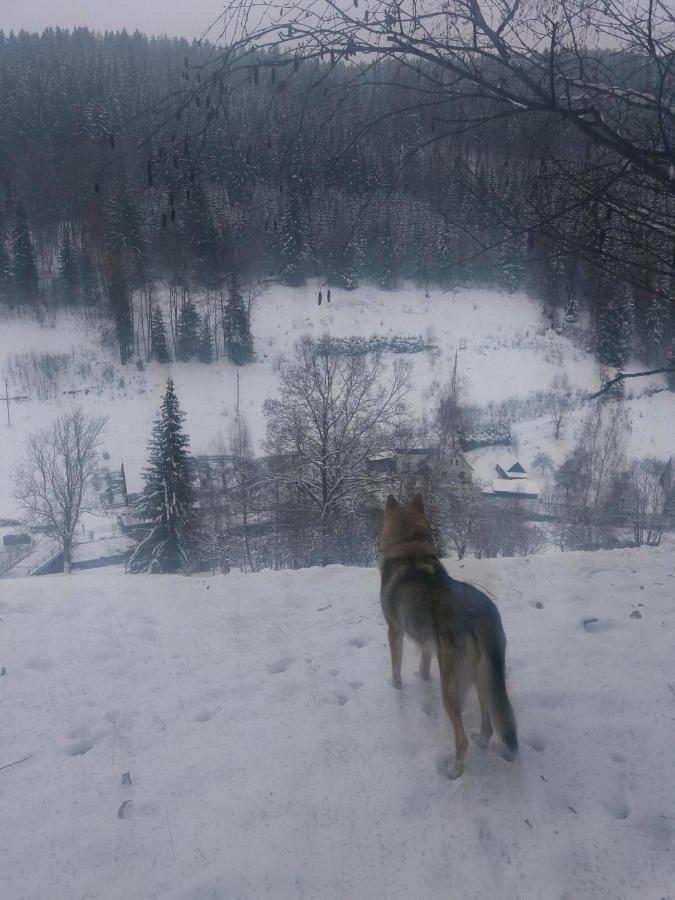 Hotel Ceska Farma Dolni Dvur Exteriör bild